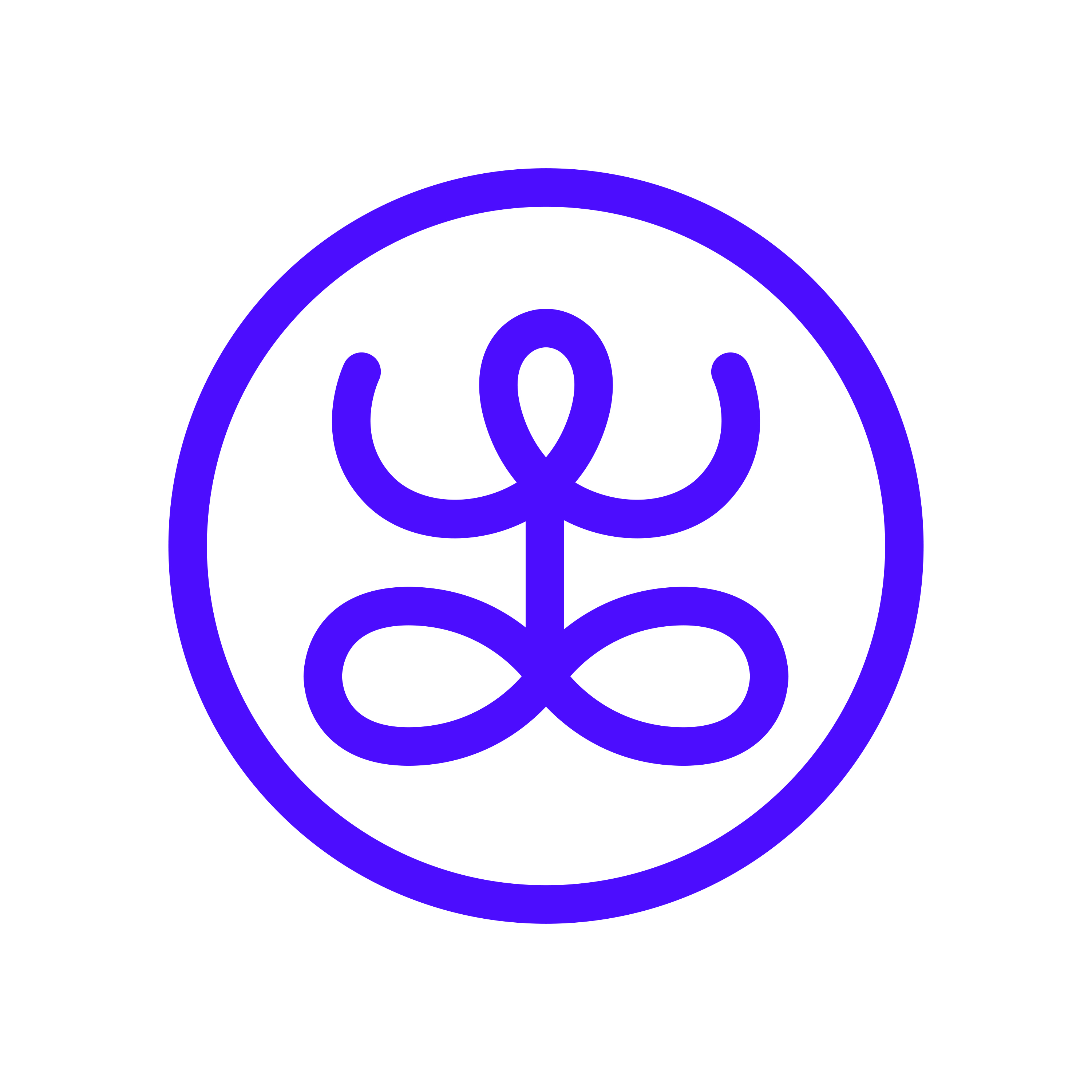 Accueil